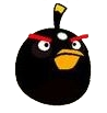 bomb egg คุณเคยเห็น Angry Birds ตัวจริงแล้วหรือยัง ?