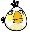 egg bird คุณเคยเห็น Angry Birds ตัวจริงแล้วหรือยัง ?