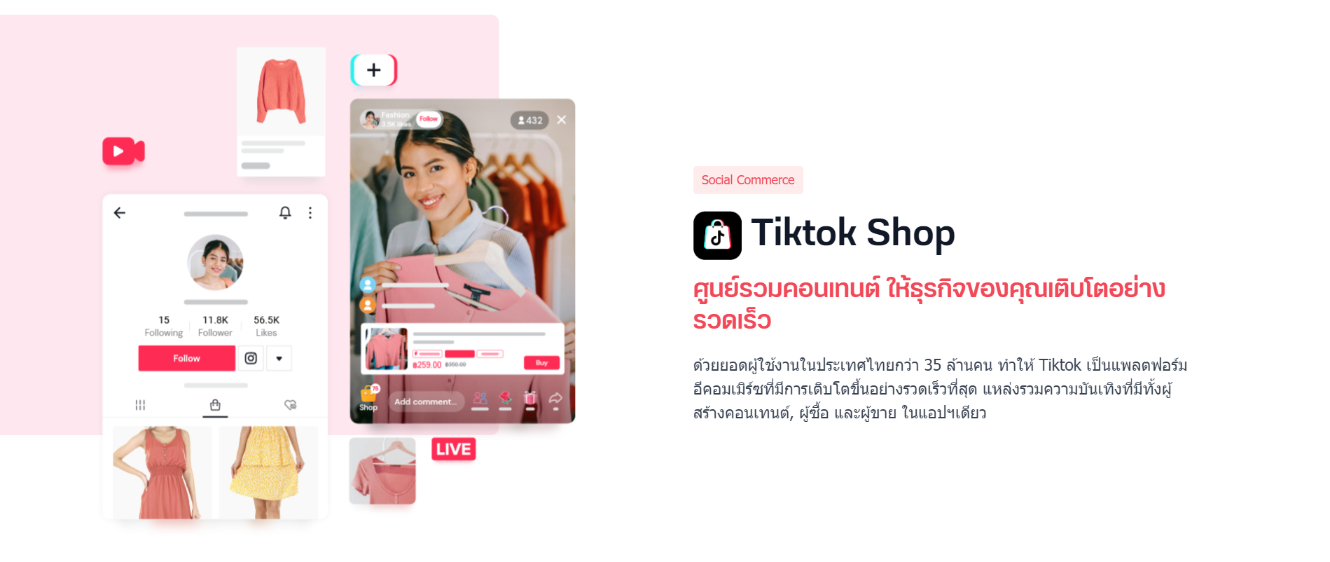 TikTok Shop information on LnwShop  Channels