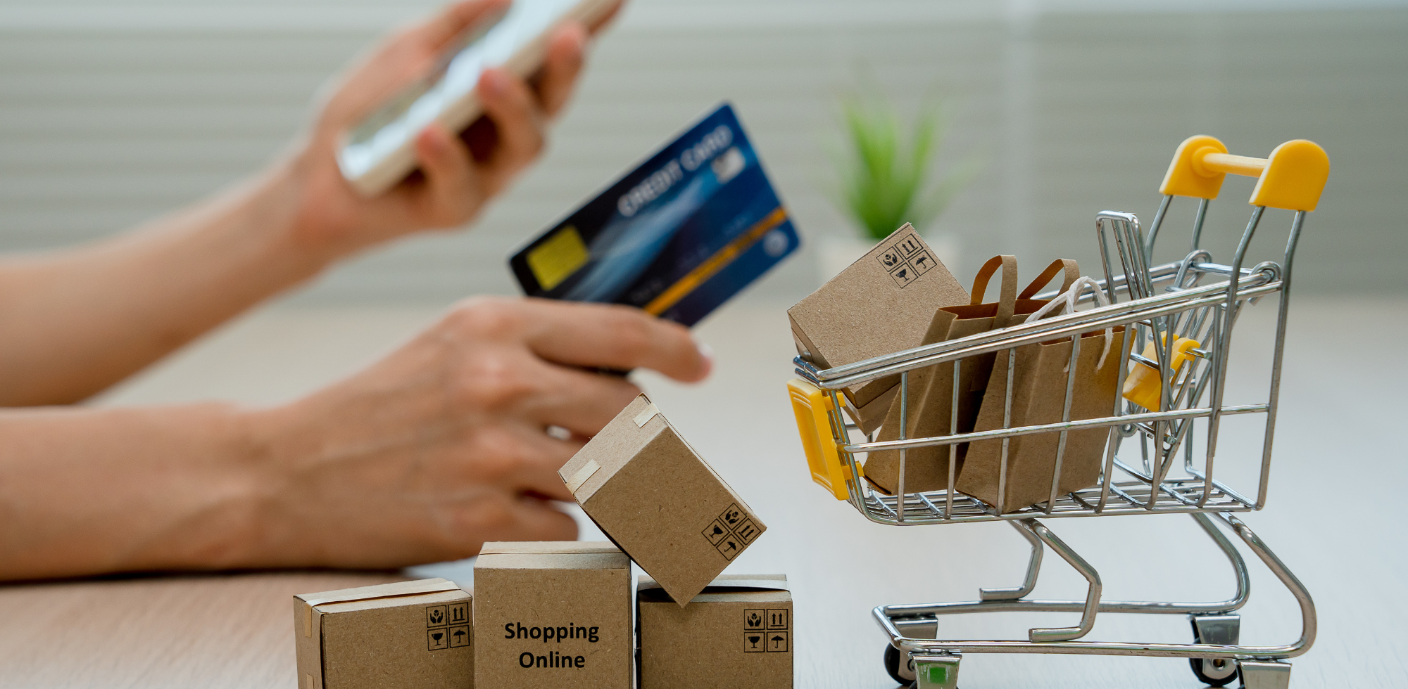 Payment System - ระบบรับชำระเงิน 1