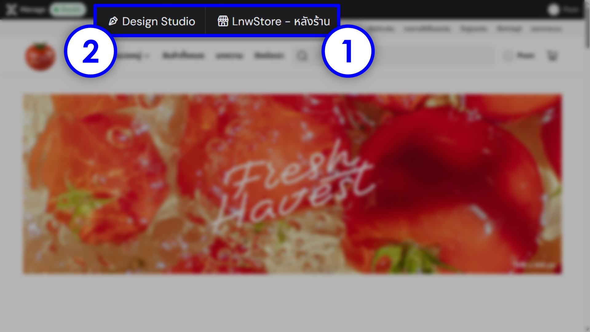 Lnw Editor Lite