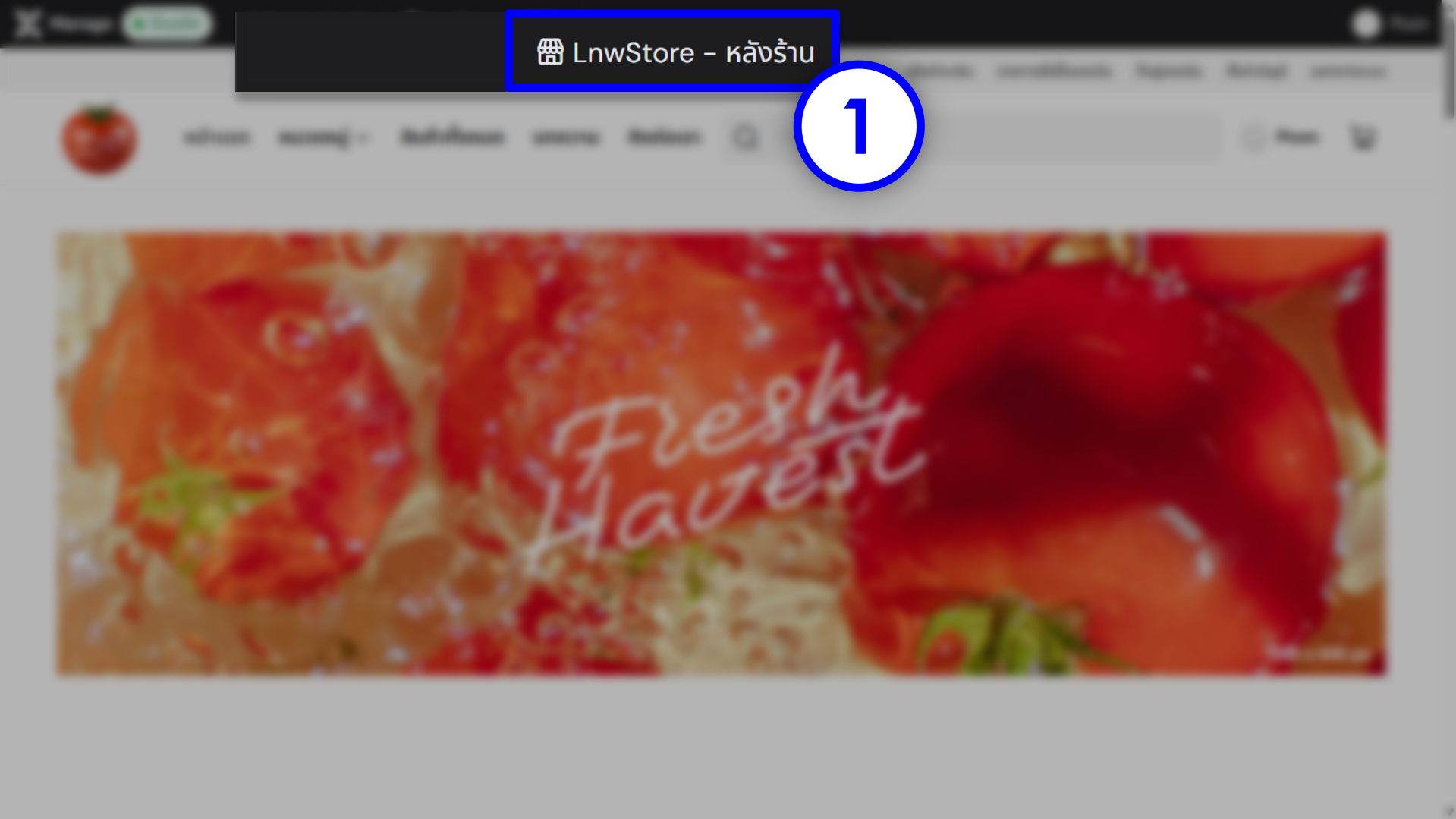 Lnw Editor Lite