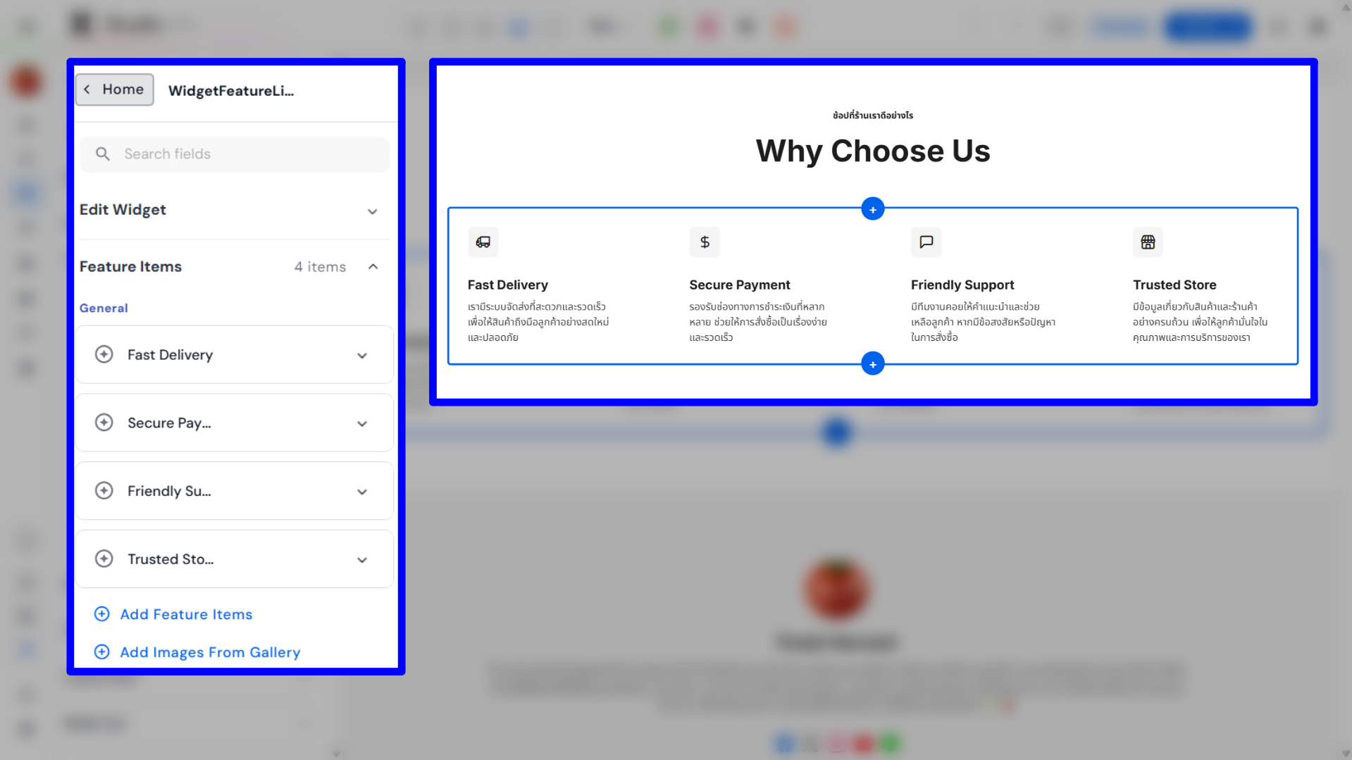 Feature Items