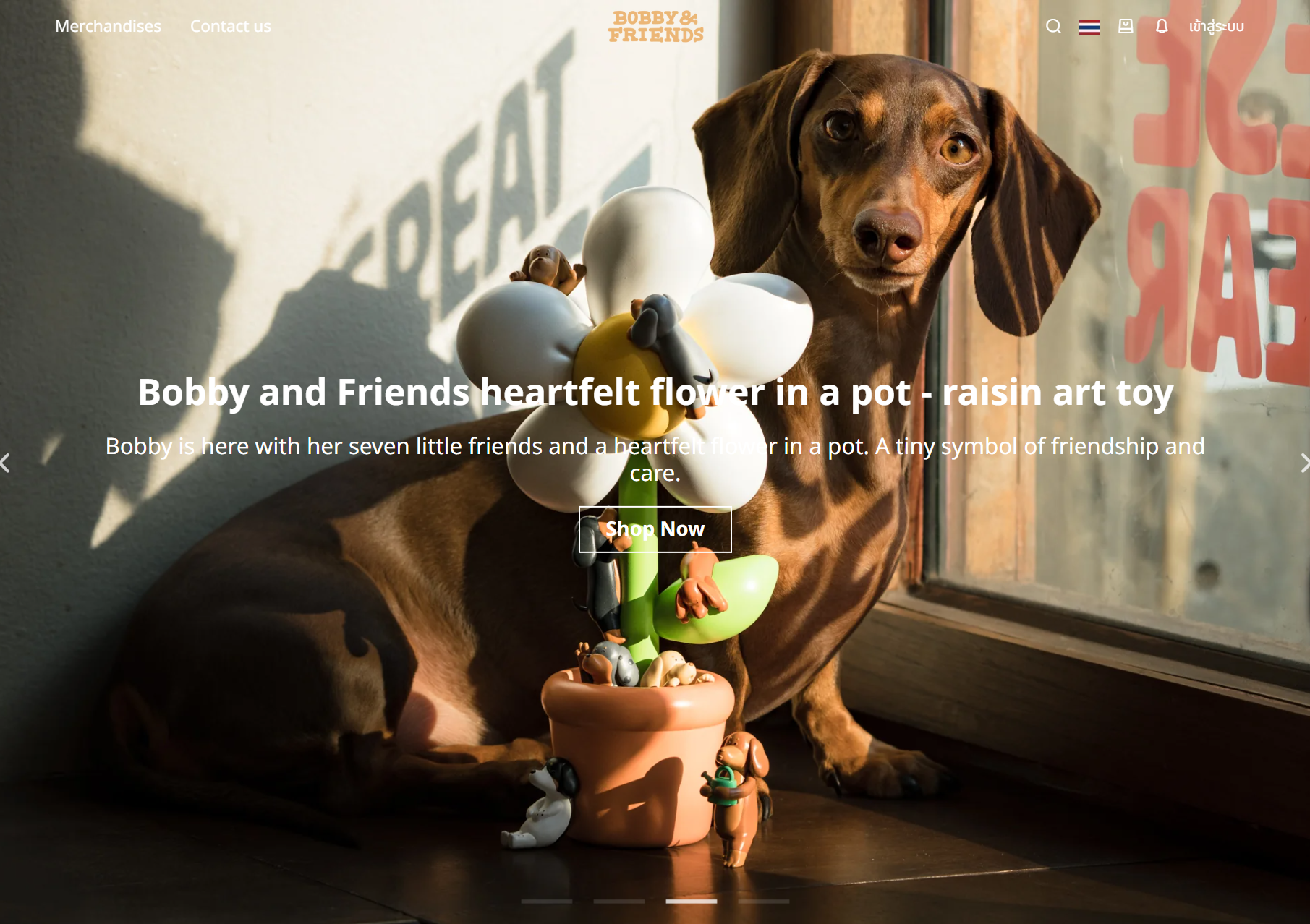 Bobby and Friends Website