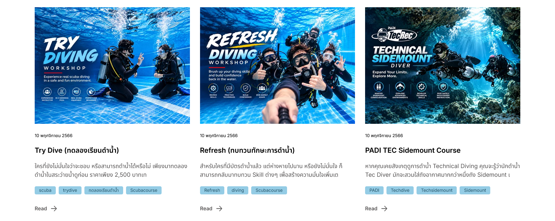 Dive Info Course
